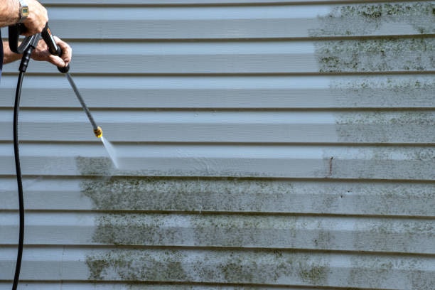 Best Yard Waste Removal  in Schererville, IN