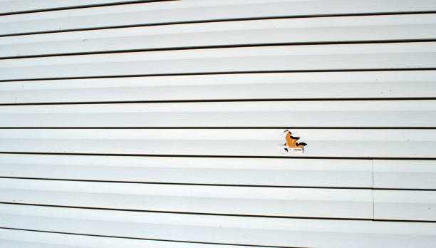 Best Shed Removal  in Schererville, IN